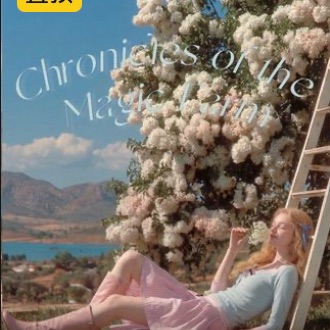Chronicles of the Magic